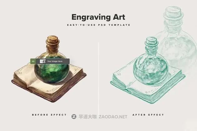 20241018q19dl 20241018q19dl