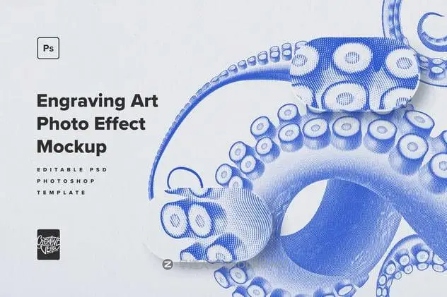 20241018ro8yj 20241018ro8yj