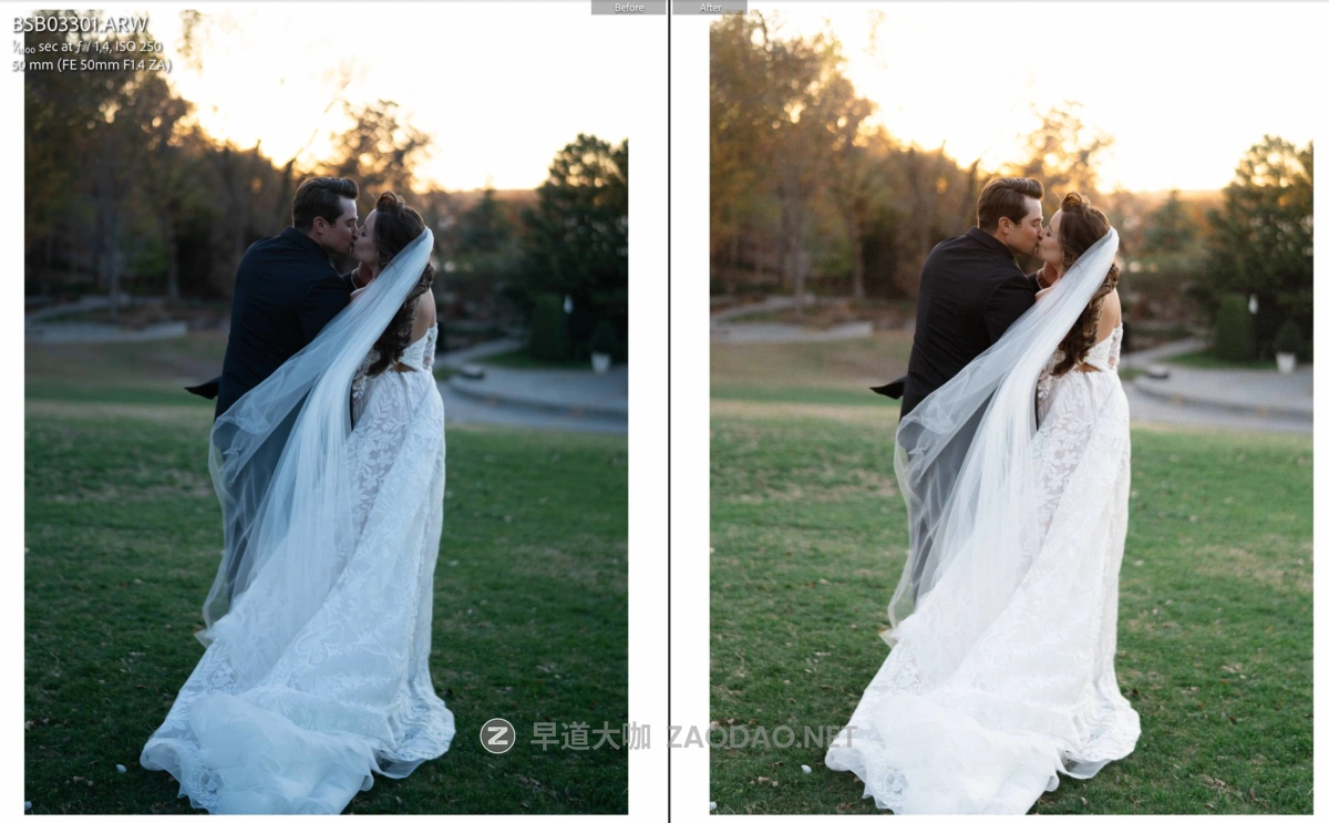 202410202dbu8 202410202dbu8