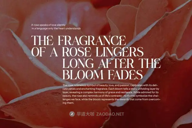 20241021jsljj 20241021jsljj