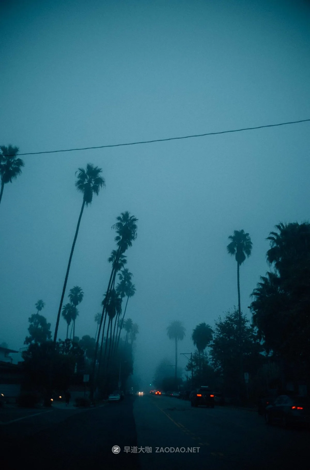 20241021o9yyd 20241021o9yyd