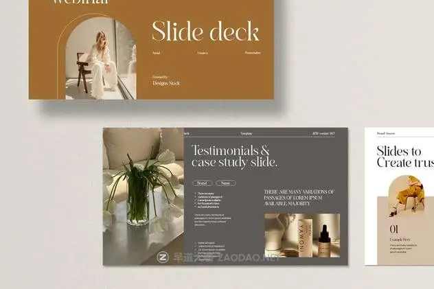 20241025nl19v 20241025nl19v