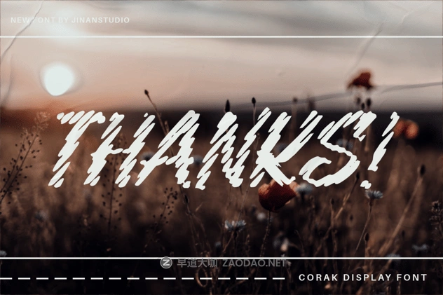 20241025qegmx 20241025qegmx