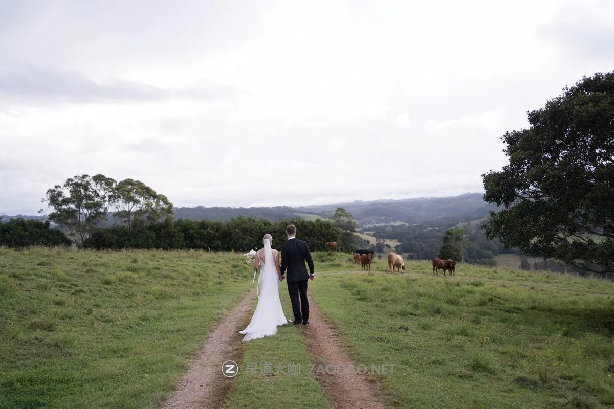 20241030q7449 20241030q7449