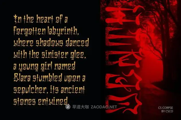 20241031fdbng 20241031fdbng