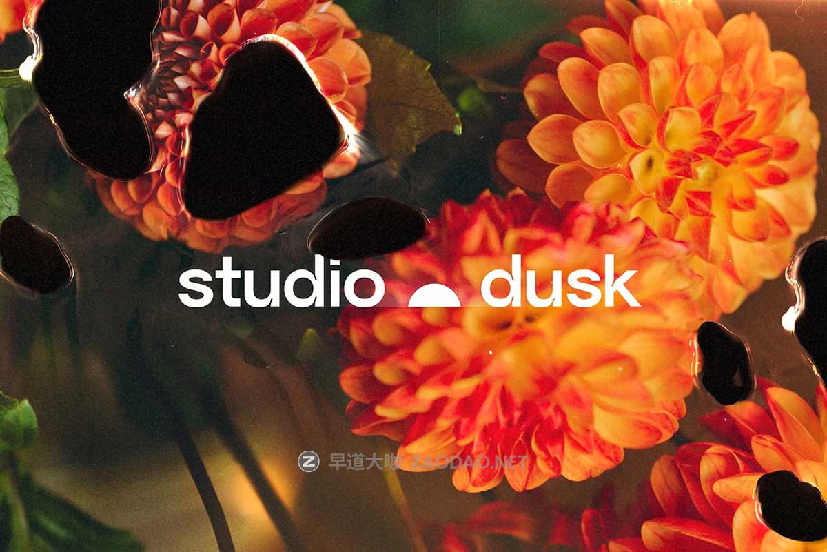 复古真实胶片燃烧灼烧纹理叠加照片效果PS特效滤镜样机模板 Burn Photo Effects插图3