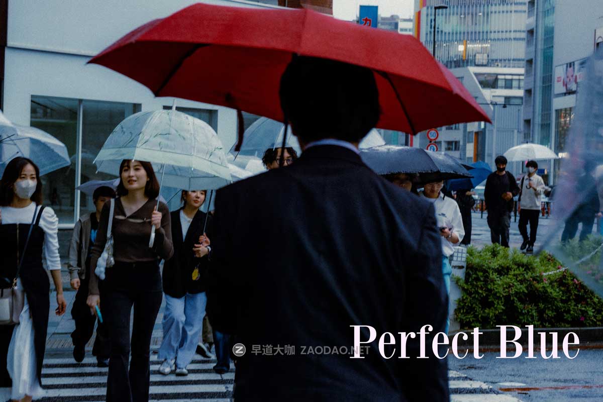 高级复古电影外观胶片模拟颗粒漏光晕影纹理人文扫街照片调色Lightroom预设 Eren Jam – CineFilm Preset插图2