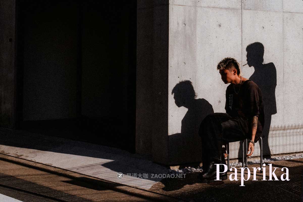 高级复古电影外观胶片模拟颗粒漏光晕影纹理人文扫街照片调色Lightroom预设 Eren Jam – CineFilm Preset插图4