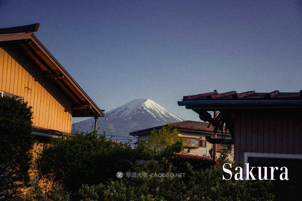 高级复古电影外观胶片模拟颗粒漏光晕影纹理人文扫街照片调色Lightroom预设 Eren Jam – CineFilm Preset插图5