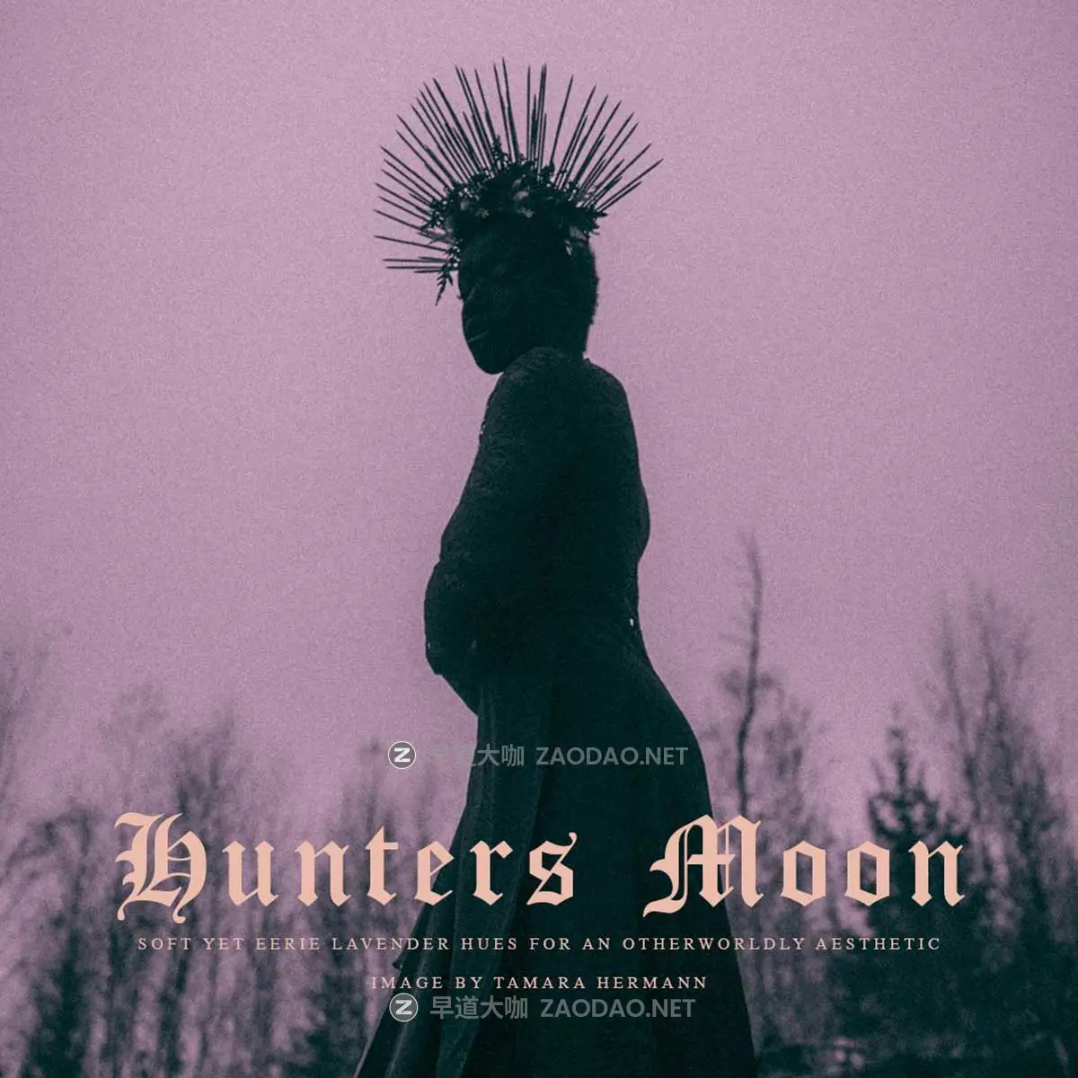 恐怖万圣节主题深邃惊悚幽灵般电影氛围红色调肖像调色Lightroom预设 Archipelago QUEST 41 RAVEN – Extension Set „Blood Moon / Hunters Moon“插图4 恐怖万圣节主题深邃惊悚幽灵般电影氛围红色调肖像调色Lightroom预设 Archipelago QUEST 41 RAVEN – Extension Set „Blood Moon / Hunters Moon“插图4