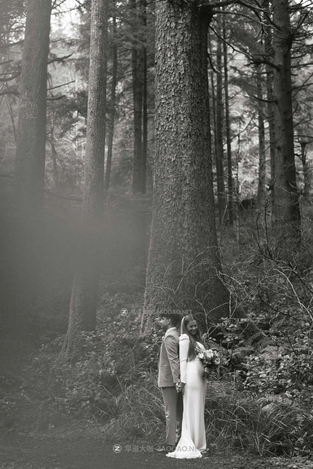 柔和绿色黑白色调冒险旅拍婚礼风景照片调色Lightroom预设 Carley Mae – Jade Pack Presets插图25 柔和绿色黑白色调冒险旅拍婚礼风景照片调色Lightroom预设 Carley Mae – Jade Pack Presets插图25