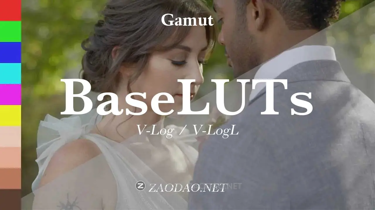 专业Panasonic松下相机旅行V-log灰片还原LUT调色预设 Gamut – Panasonic BaseLUTs for V-Log / V-LogL插图 专业Panasonic松下相机旅行V-log灰片还原LUT调色预设 Gamut – Panasonic BaseLUTs for V-Log / V-LogL插图