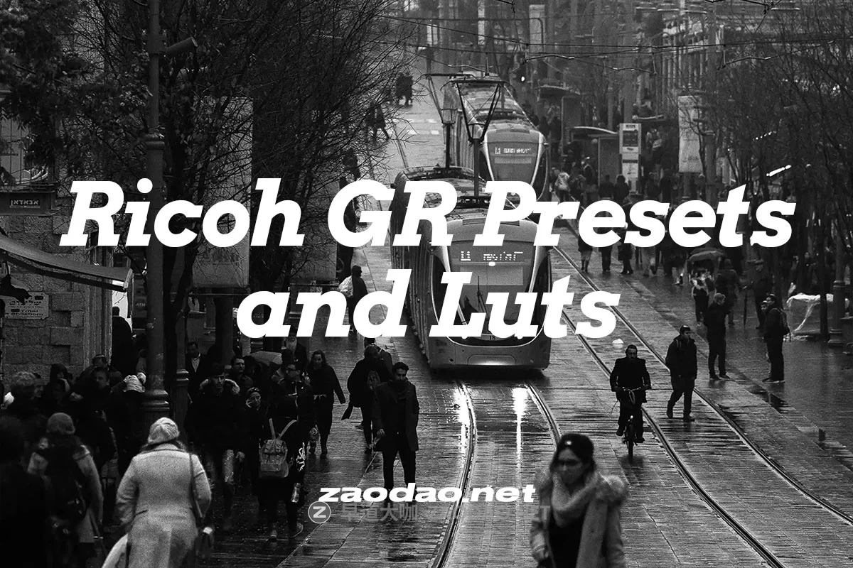 真实颗粒锐化(含黑白)旅拍街头摄影扫街生活方式照片视频调色LR/LUT预设 Ricoh GR Presets and Luts插图 真实颗粒锐化(含黑白)旅拍街头摄影扫街生活方式照片视频调色LR/LUT预设 Ricoh GR Presets and Luts插图