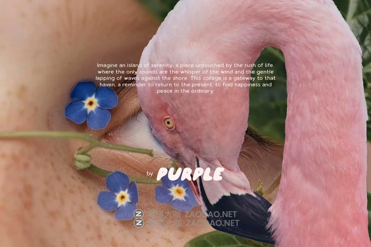 184款真实人物物品动物眼睛花卉水晶剪贴画纸张PNG免抠图设计素材 Healing Collage Pack插图1 184款真实人物物品动物眼睛花卉水晶剪贴画纸张PNG免抠图设计素材 Healing Collage Pack插图1