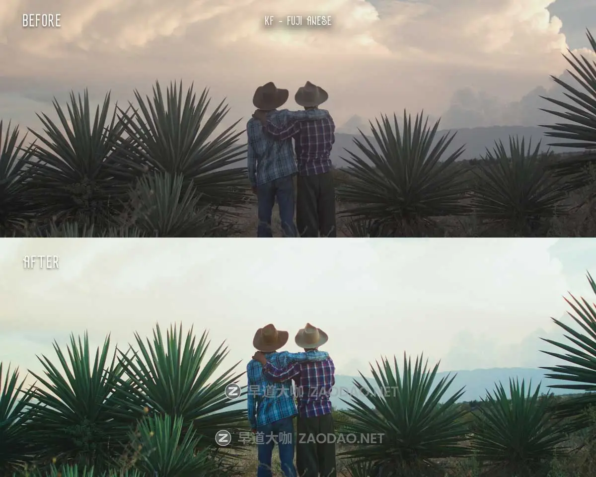 真实复古电影美学柯达胶片模拟视频照片颜色分级调色LR/LUT预设包 17 Real Kodak Film Emulation Presets & LUTs插图8 真实复古电影美学柯达胶片模拟视频照片颜色分级调色LR/LUT预设包 17 Real Kodak Film Emulation Presets & LUTs插图8