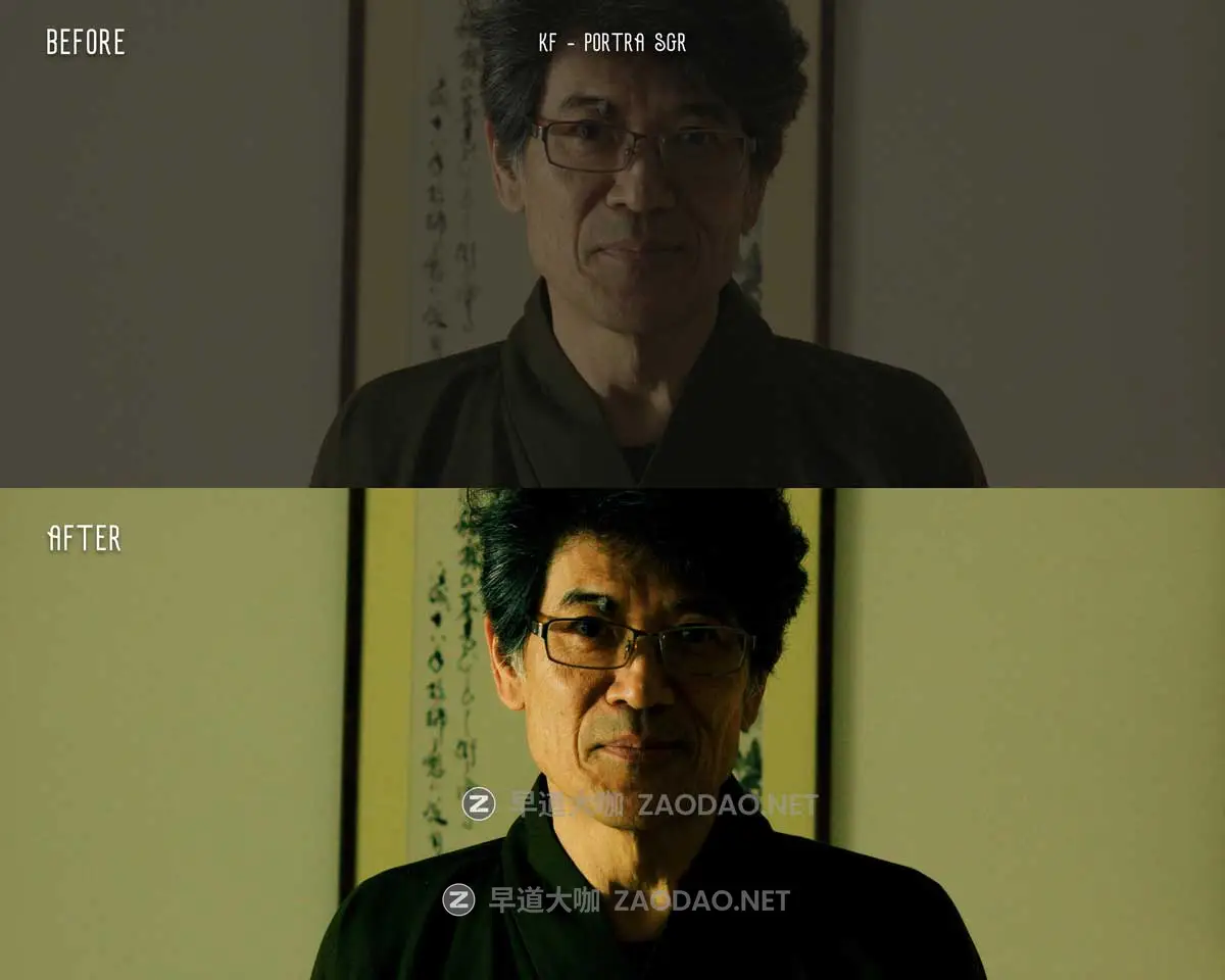 真实复古电影美学柯达胶片模拟视频照片颜色分级调色LR/LUT预设包 17 Real Kodak Film Emulation Presets & LUTs插图3 真实复古电影美学柯达胶片模拟视频照片颜色分级调色LR/LUT预设包 17 Real Kodak Film Emulation Presets & LUTs插图3