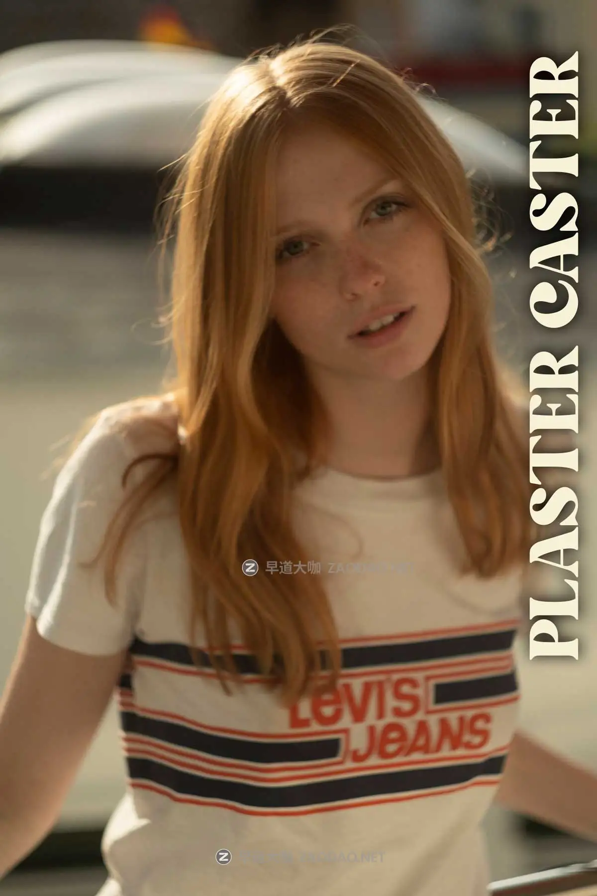 复古电影外观温暖乙烯基沙哑感觉胶片颗粒模拟肖像摄影调色Lightroom预设包 Bob Sala – Iconic Muses (1967-1973) – Presets插图3 复古电影外观温暖乙烯基沙哑感觉胶片颗粒模拟肖像摄影调色Lightroom预设包 Bob Sala – Iconic Muses (1967-1973) – Presets插图3