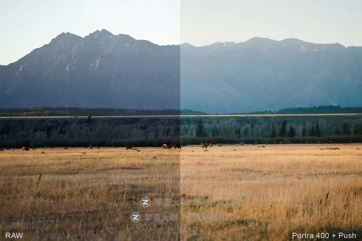 真实电影外观柯达Portra 400胶片颗粒模拟旅拍风景照片调色Lightroom预设 Very Good Presets – Portra 400插图9 真实电影外观柯达Portra 400胶片颗粒模拟旅拍风景照片调色Lightroom预设 Very Good Presets – Portra 400插图9