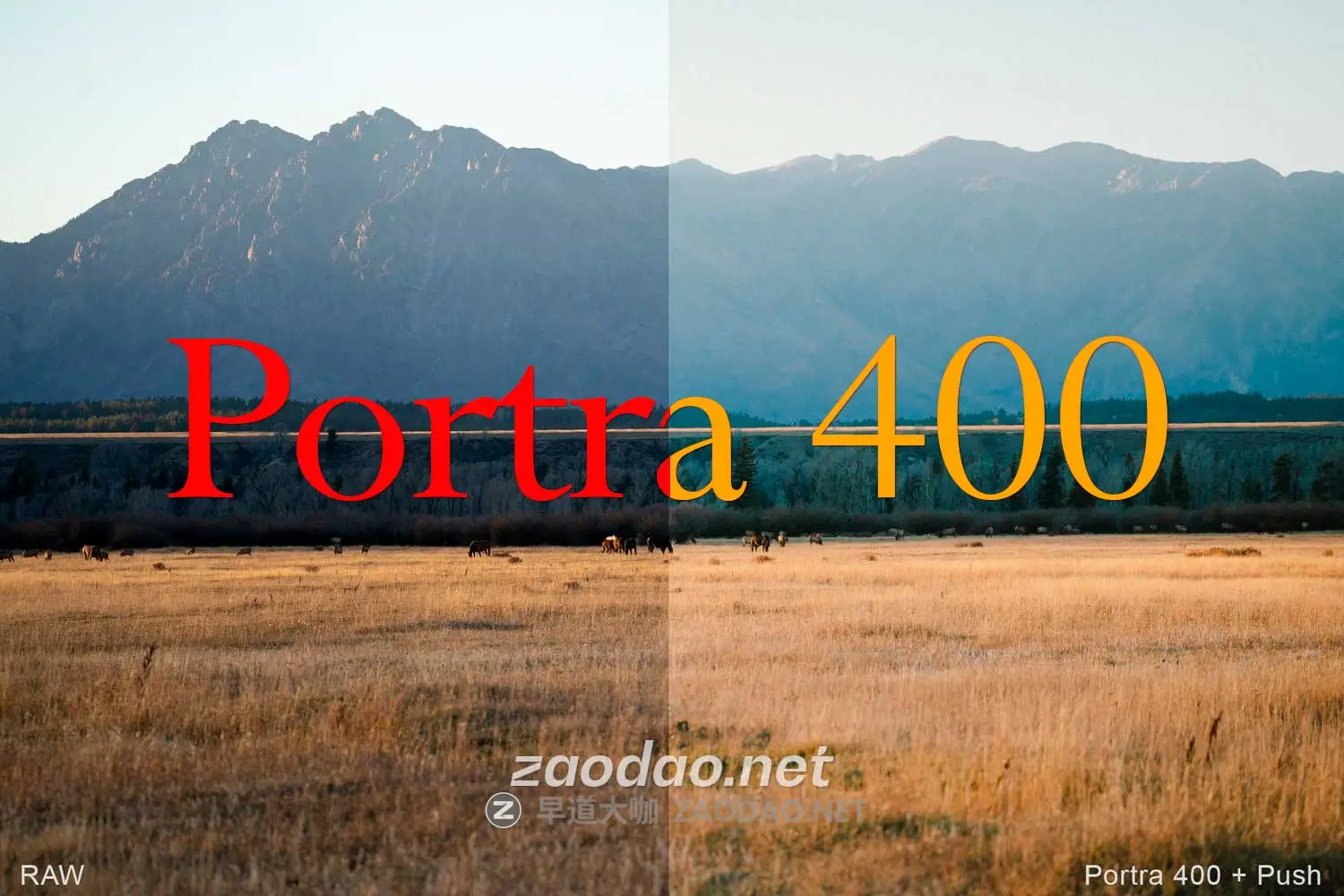 真实电影外观柯达Portra 400胶片颗粒模拟旅拍风景照片调色Lightroom预设 Very Good Presets – Portra 400插图 真实电影外观柯达Portra 400胶片颗粒模拟旅拍风景照片调色Lightroom预设 Very Good Presets – Portra 400插图