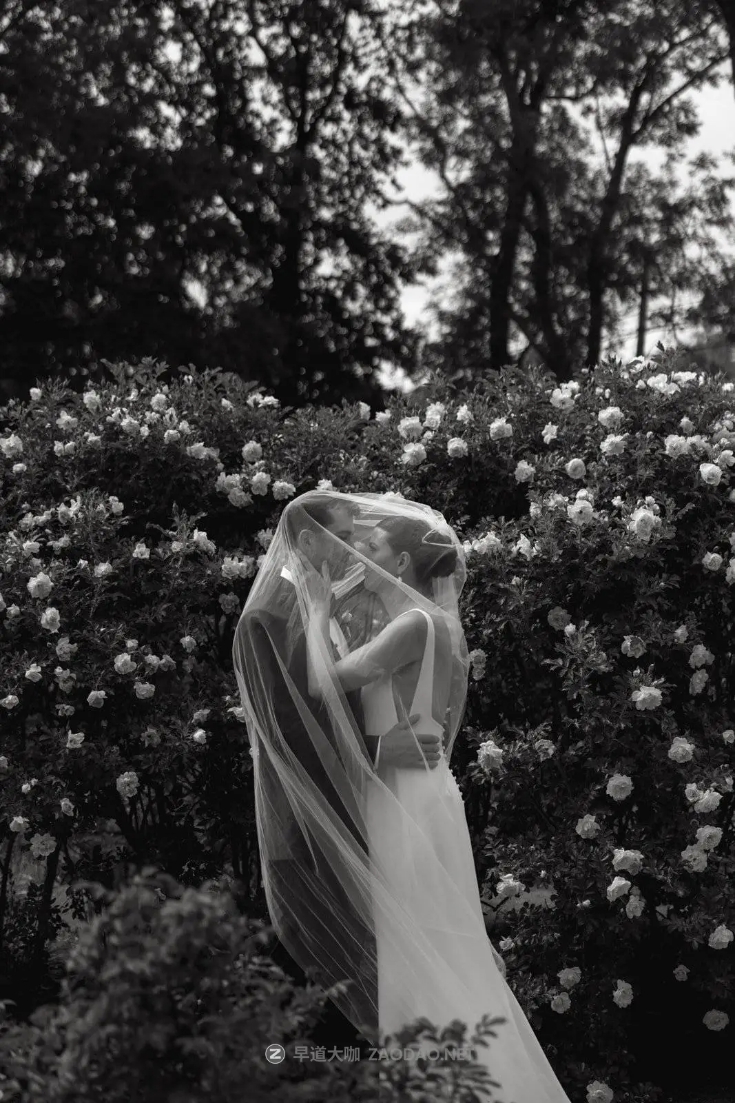 20241101ac9db 20241101ac9db