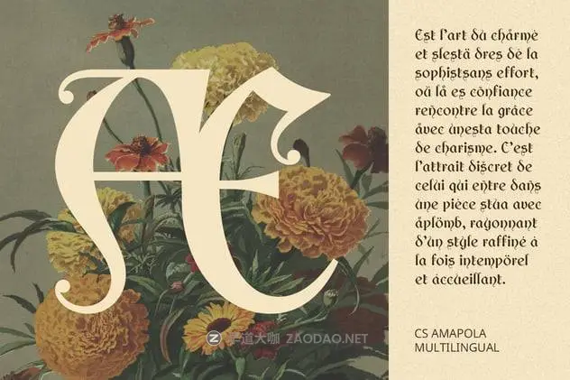 20241101kblh6 20241101kblh6