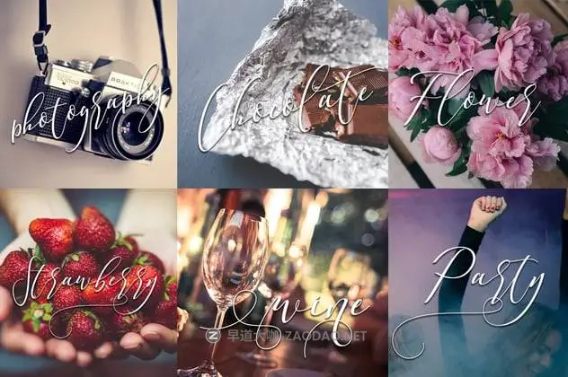 20241101vqndh 20241101vqndh