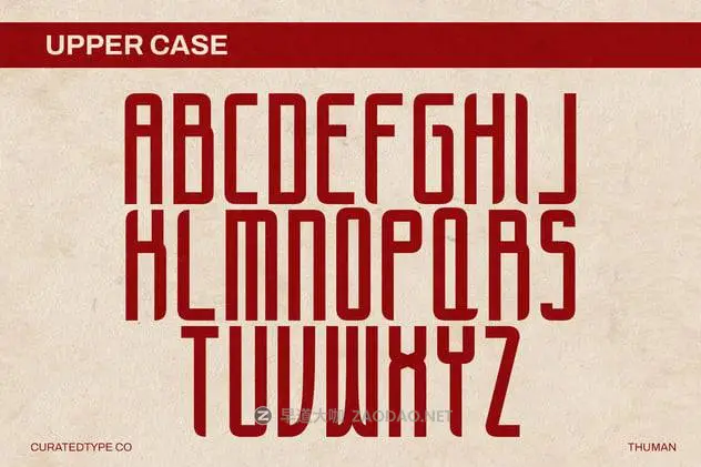 20241105ciogm 20241105ciogm