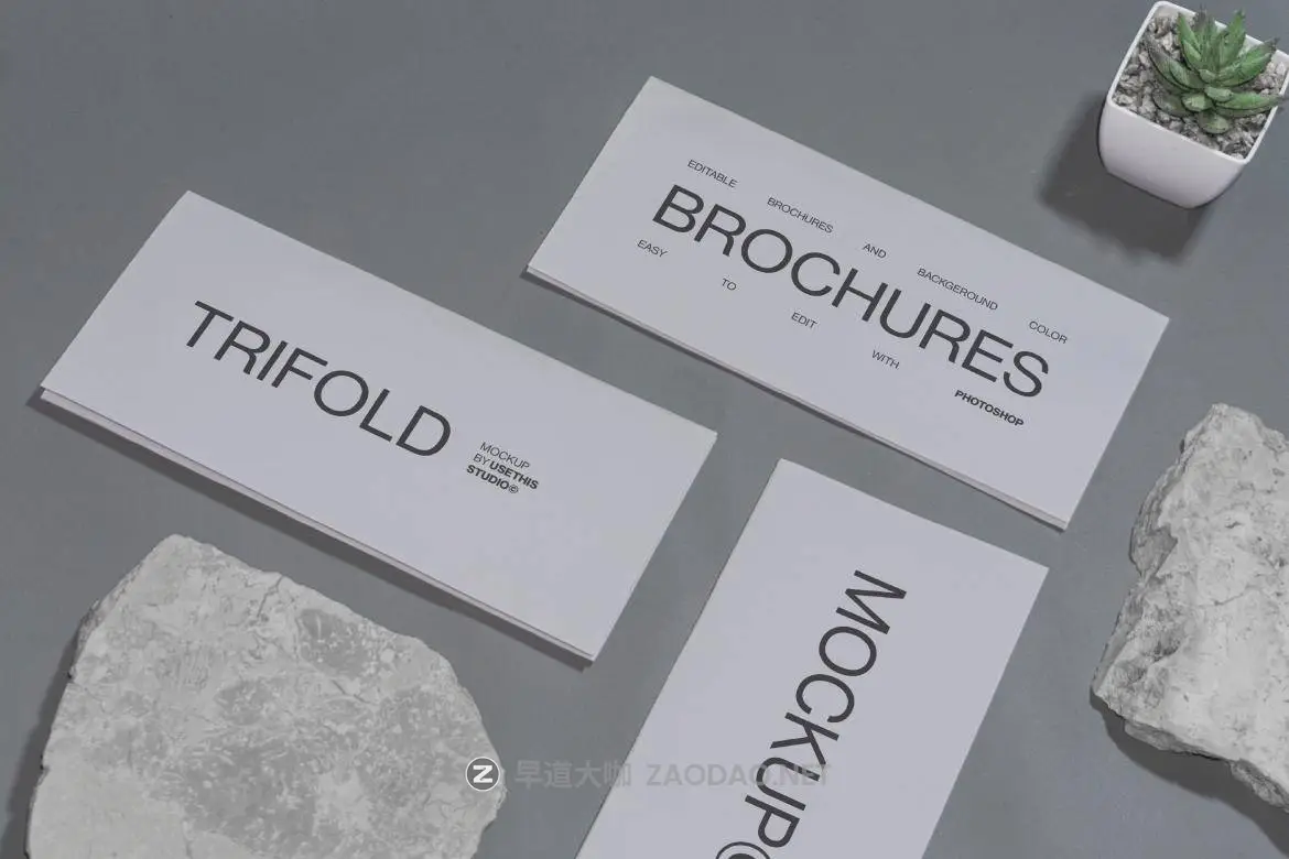 20241107q8fc3 20241107q8fc3