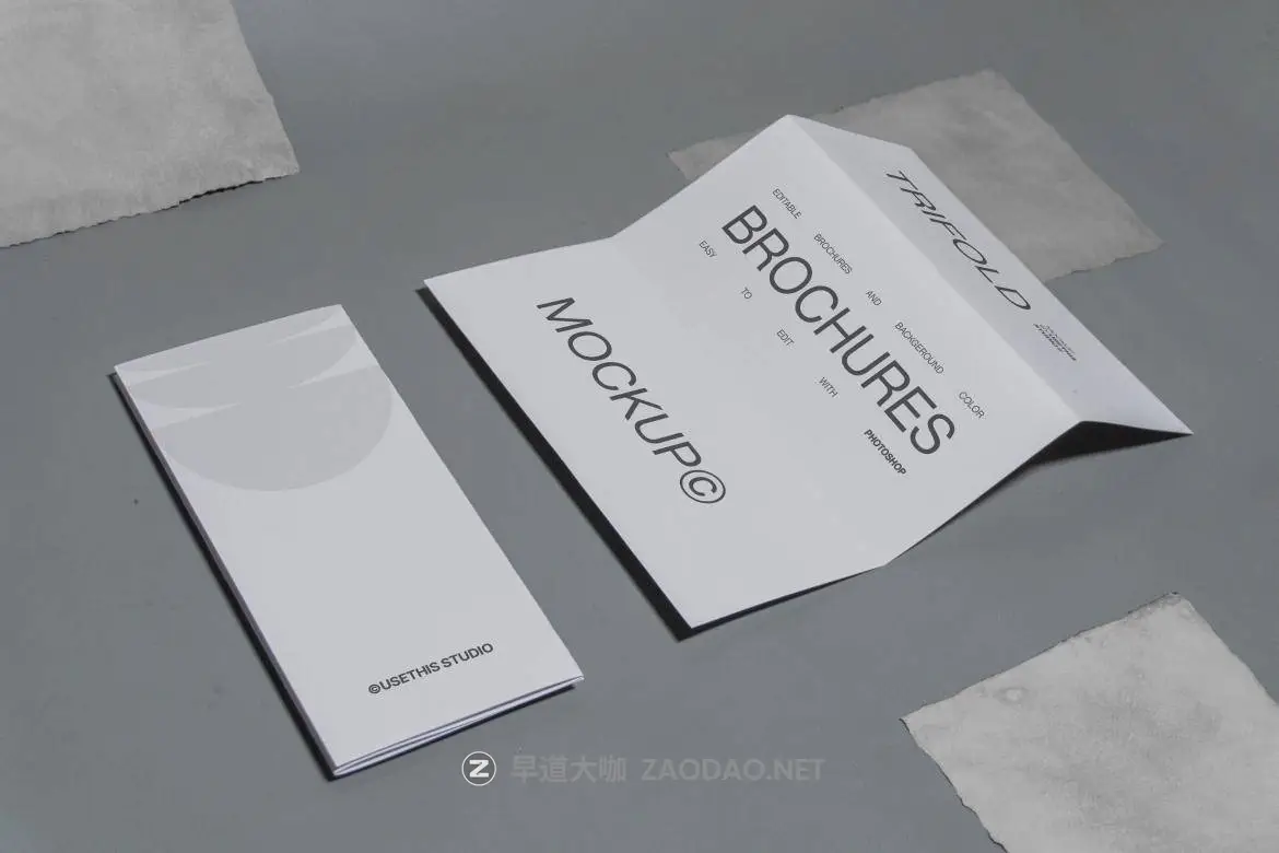 20241107sic7p 20241107sic7p