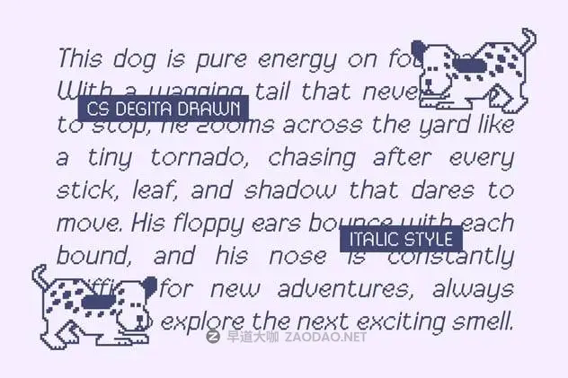 20241107ymww7 20241107ymww7