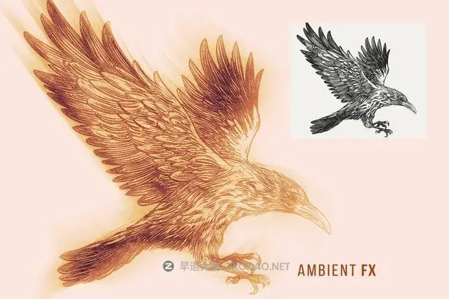 20241108y2dqc 20241108y2dqc