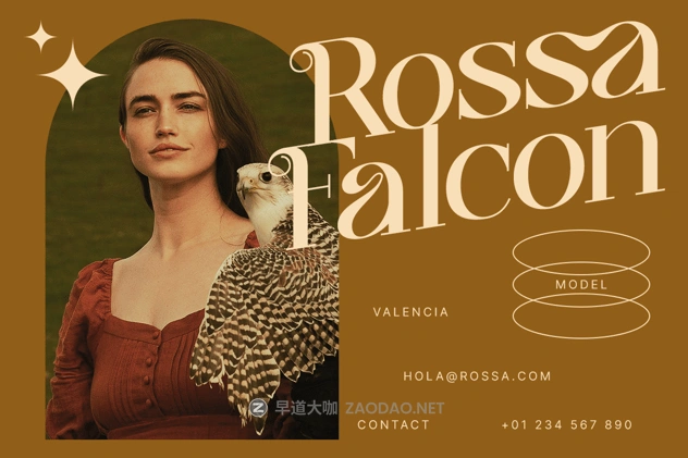 20241109t1iy3 20241109t1iy3