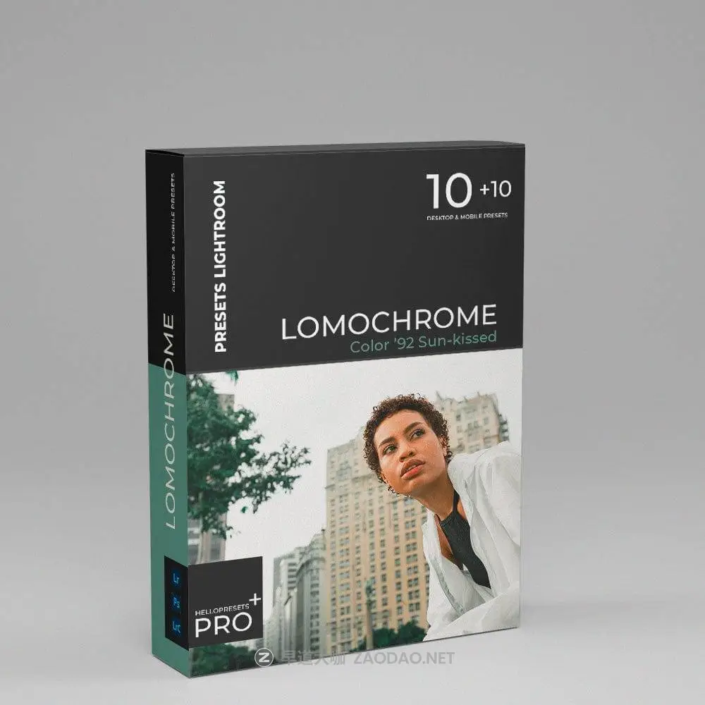 202411101d0vi 202411101d0vi