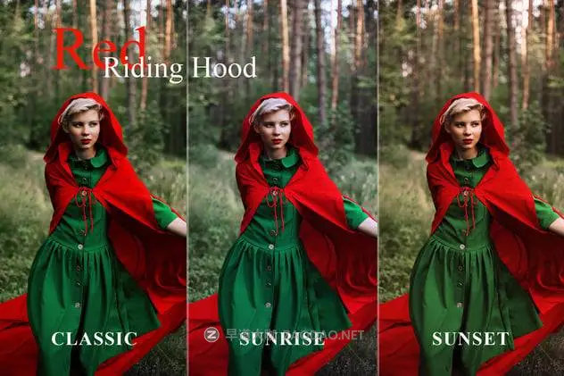 202411117x516 202411117x516