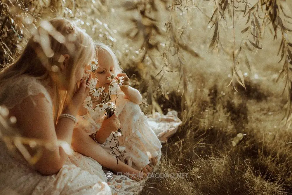 202411130ne43 202411130ne43