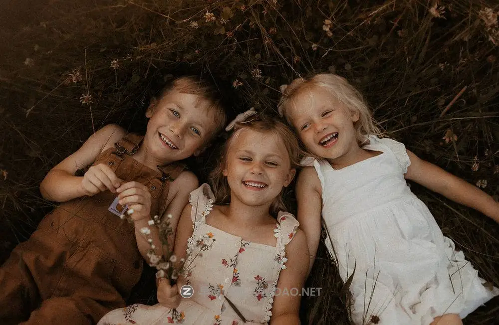 202411133mdnn 202411133mdnn