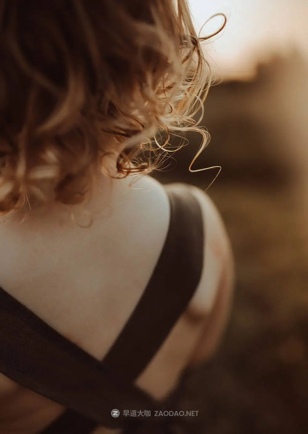 202411134edm5 202411134edm5