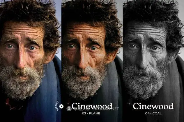 20241113wkune 20241113wkune