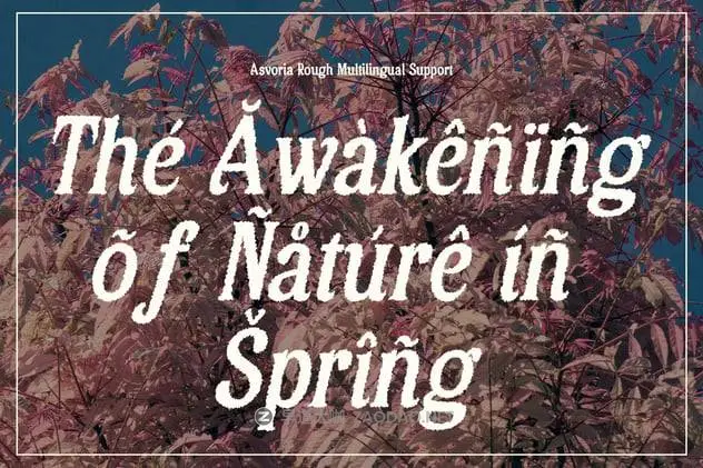 20241115831qy 20241115831qy