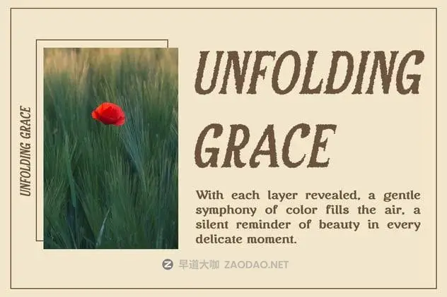 202411159vif4 202411159vif4