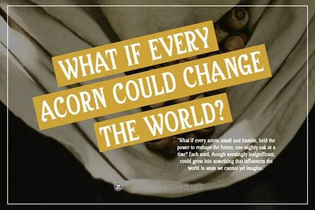 20241115d7lwg 20241115d7lwg