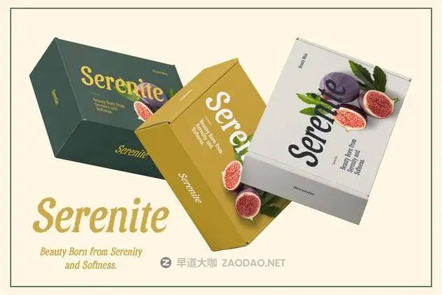 20241115t0vr8 20241115t0vr8