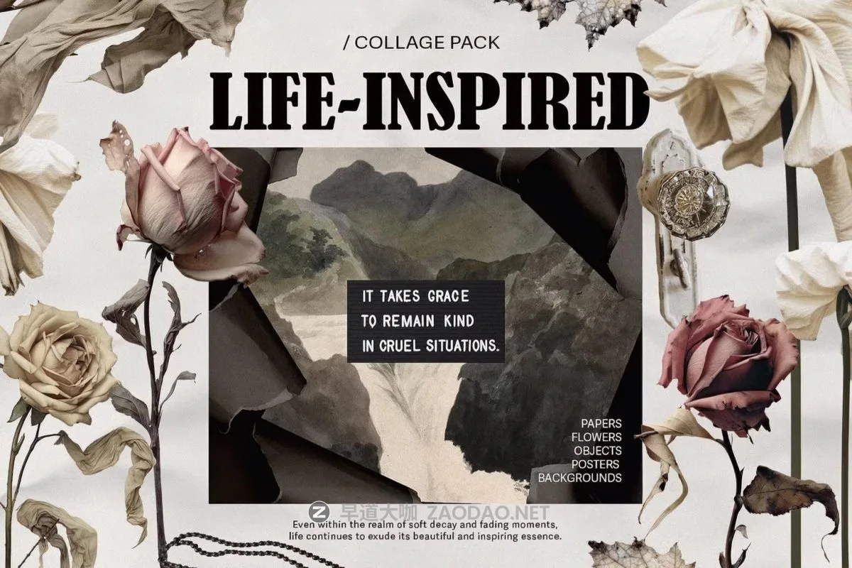 20241120qrntt 20241120qrntt