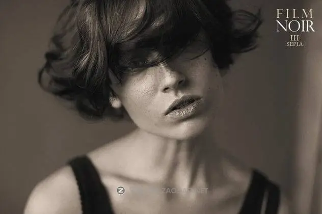 20241121wsfx8 20241121wsfx8