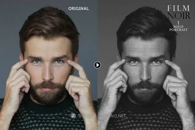 20241121y38dx 20241121y38dx