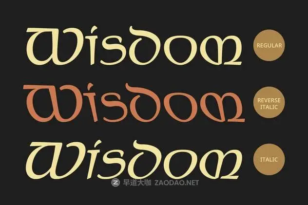 20241123c9dqp 20241123c9dqp