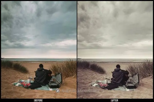 202411252rwtd 202411252rwtd