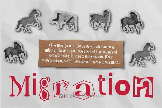 20241126rqj17 20241126rqj17