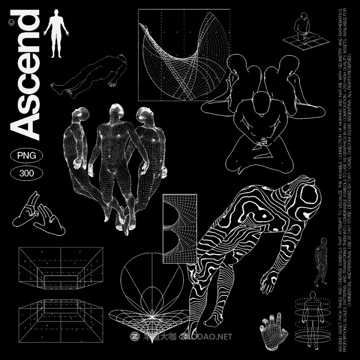 20241126rr23t 20241126rr23t