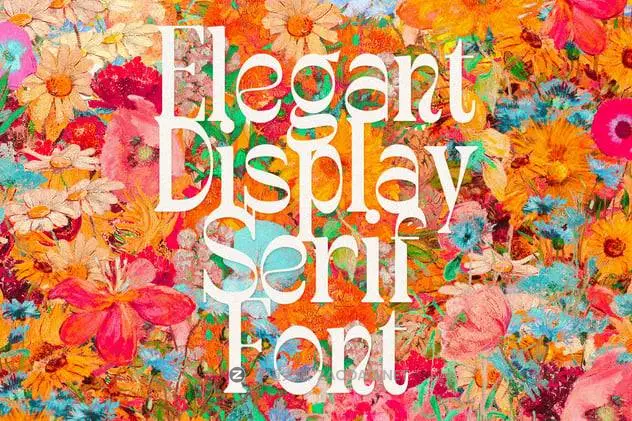 20241126zhauh 20241126zhauh